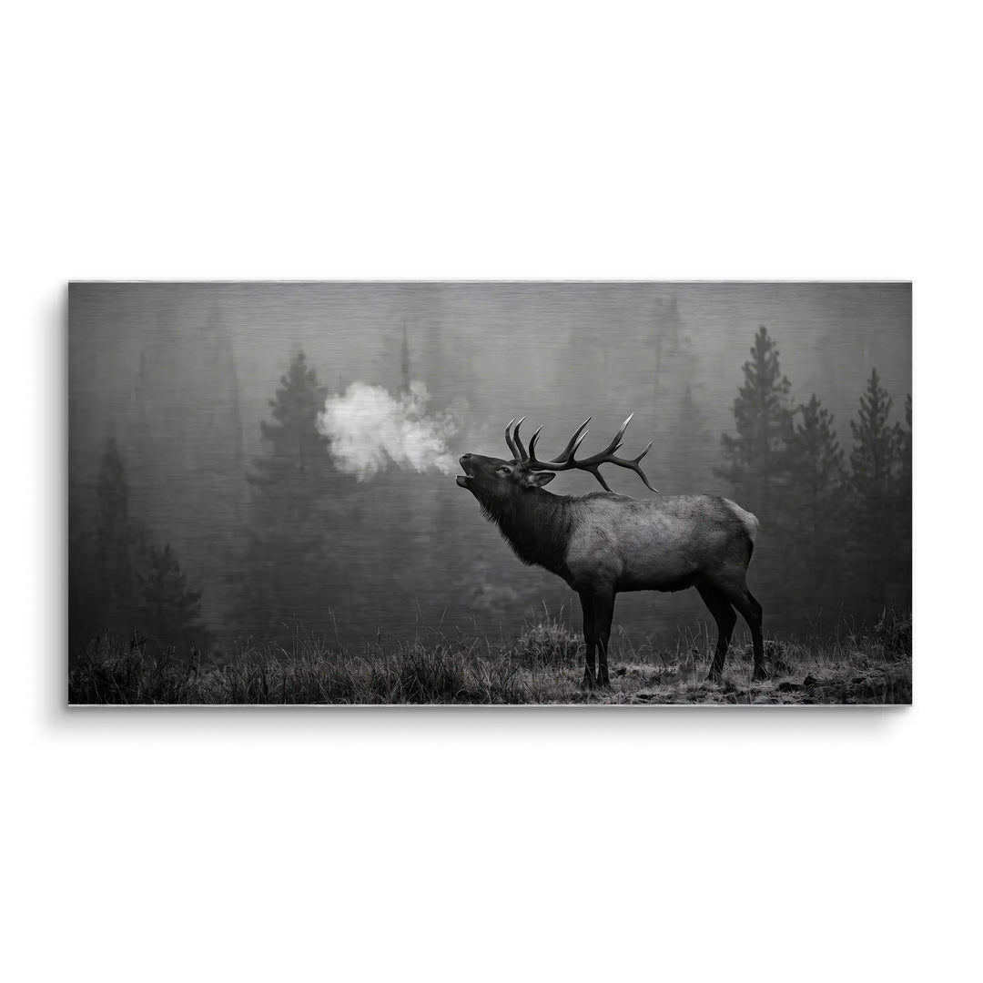 Bugling Elk