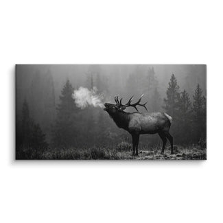 Bugling Elk