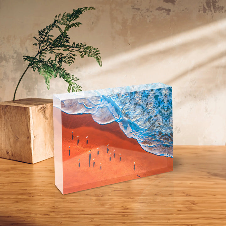 Coral Tide