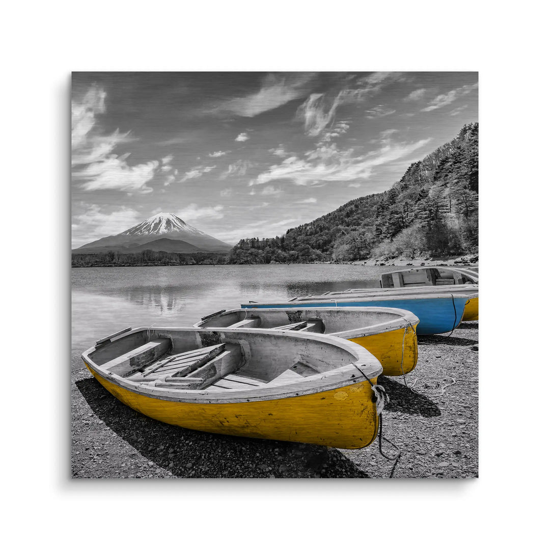 Fuji Boats
