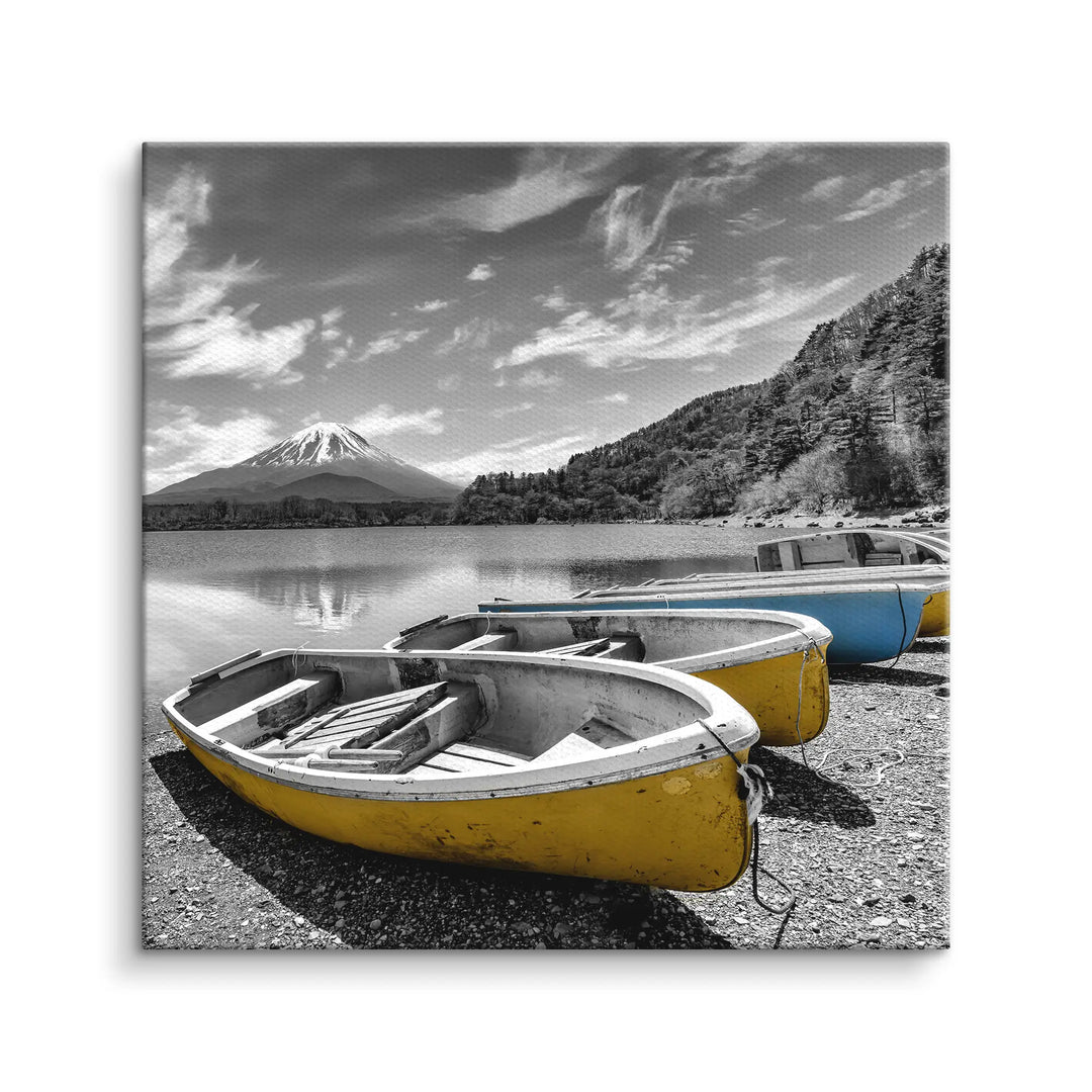 Fuji Boats