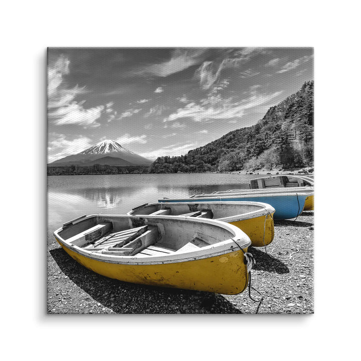 Fuji Boats