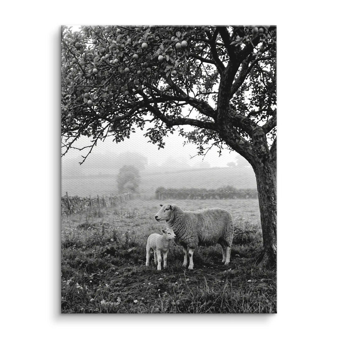 Under the Apple Tree