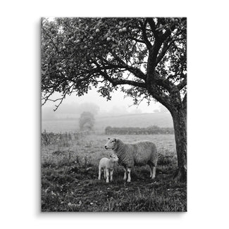 Under the Apple Tree