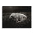 Sleeping Calf