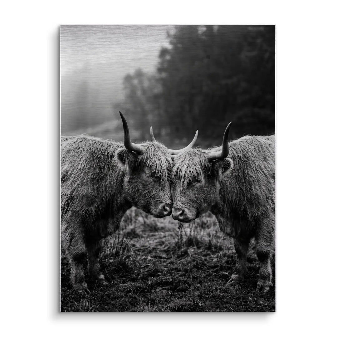 Highland Bond