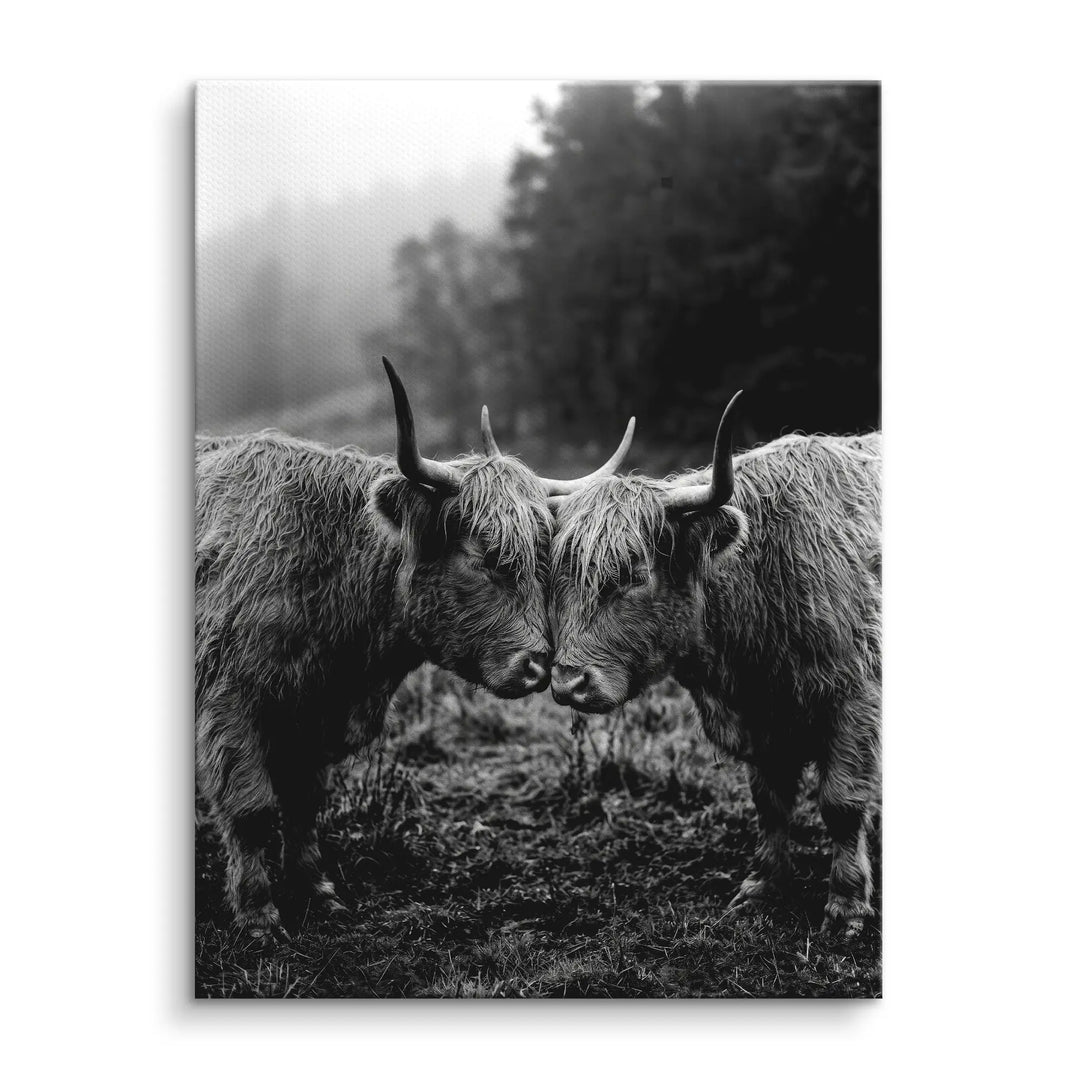 Highland Bond