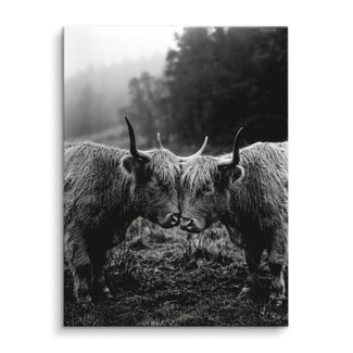 Highland Bond