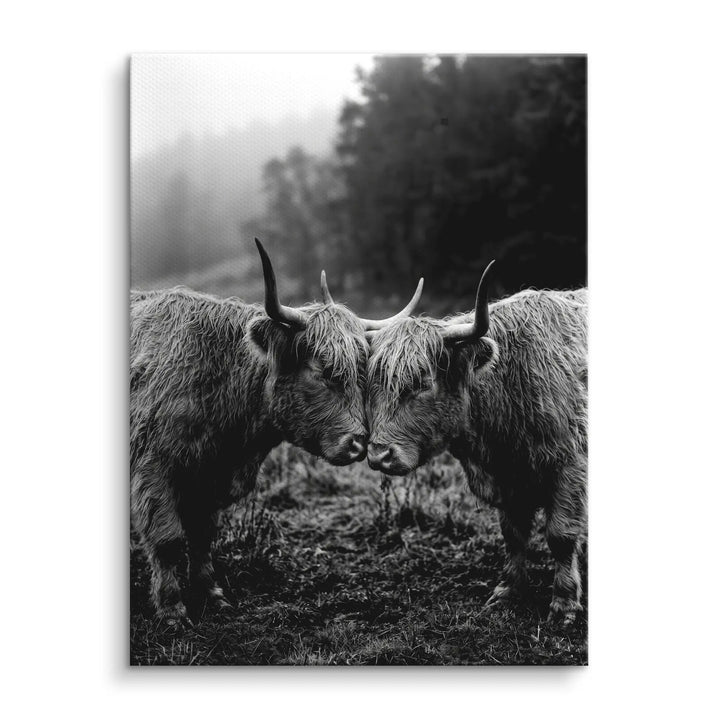 Highland Bond