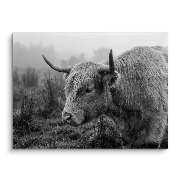 Highland Mist