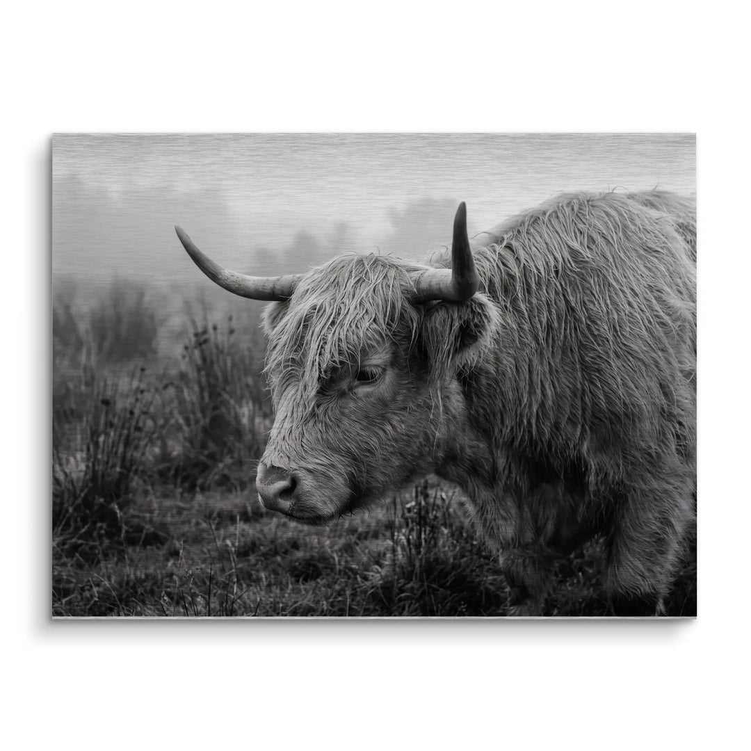 Highland Mist