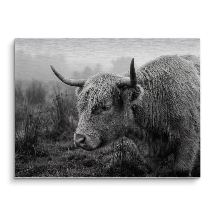 Highland Mist