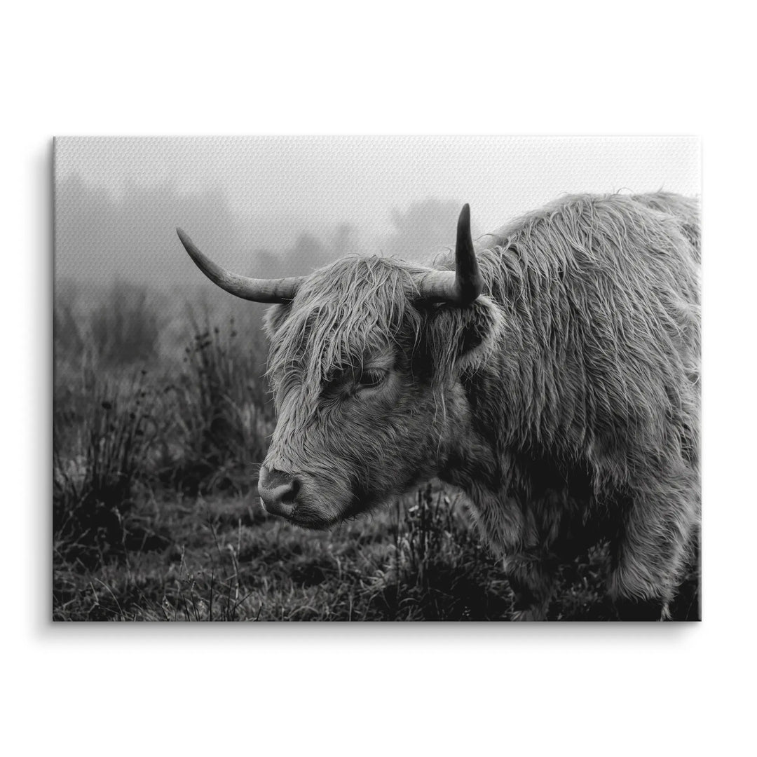 Highland Mist