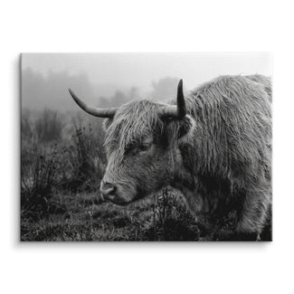 Highland Mist