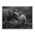 Highland Tenderness