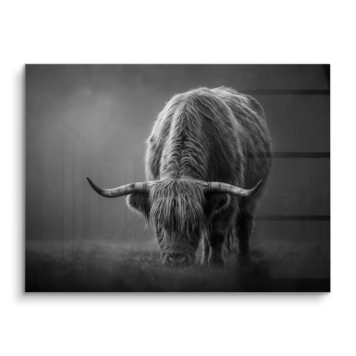 Highland Shadow