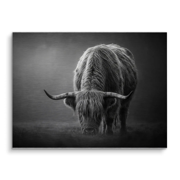 Highland Shadow