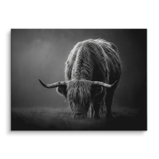 Highland Shadow