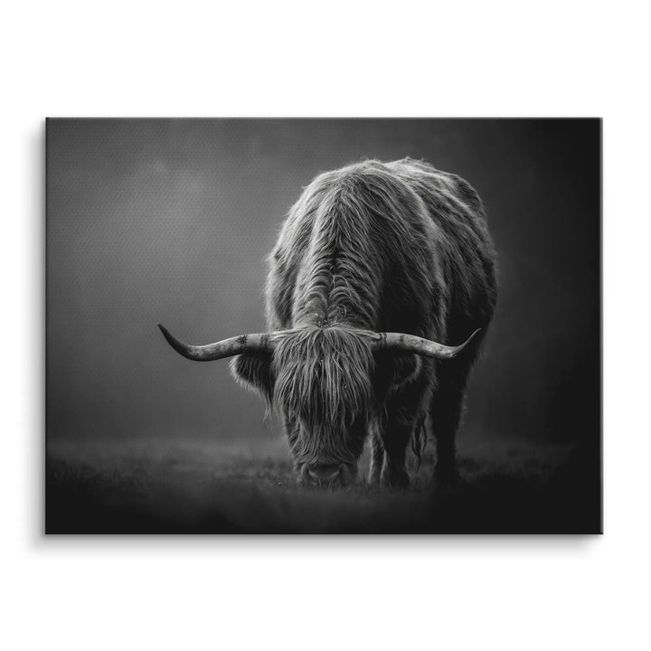 Highland Shadow
