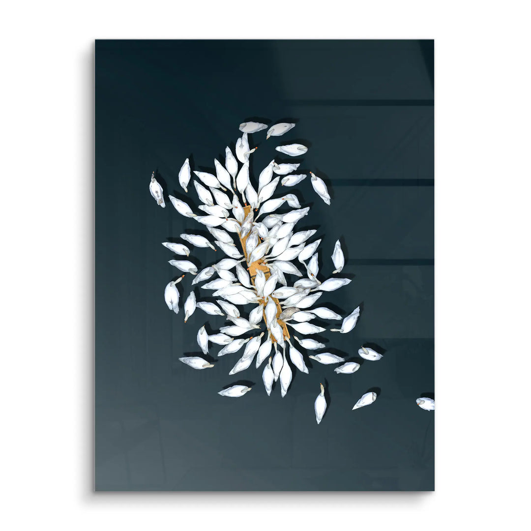 Swan Petals