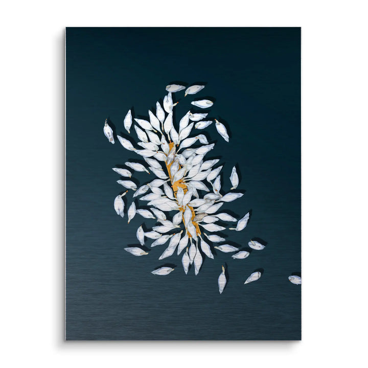 Swan Petals
