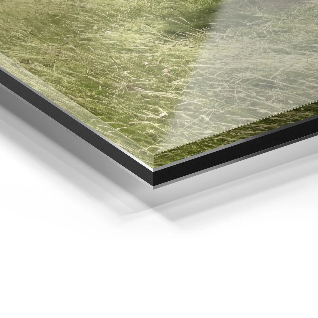 Threshold Field