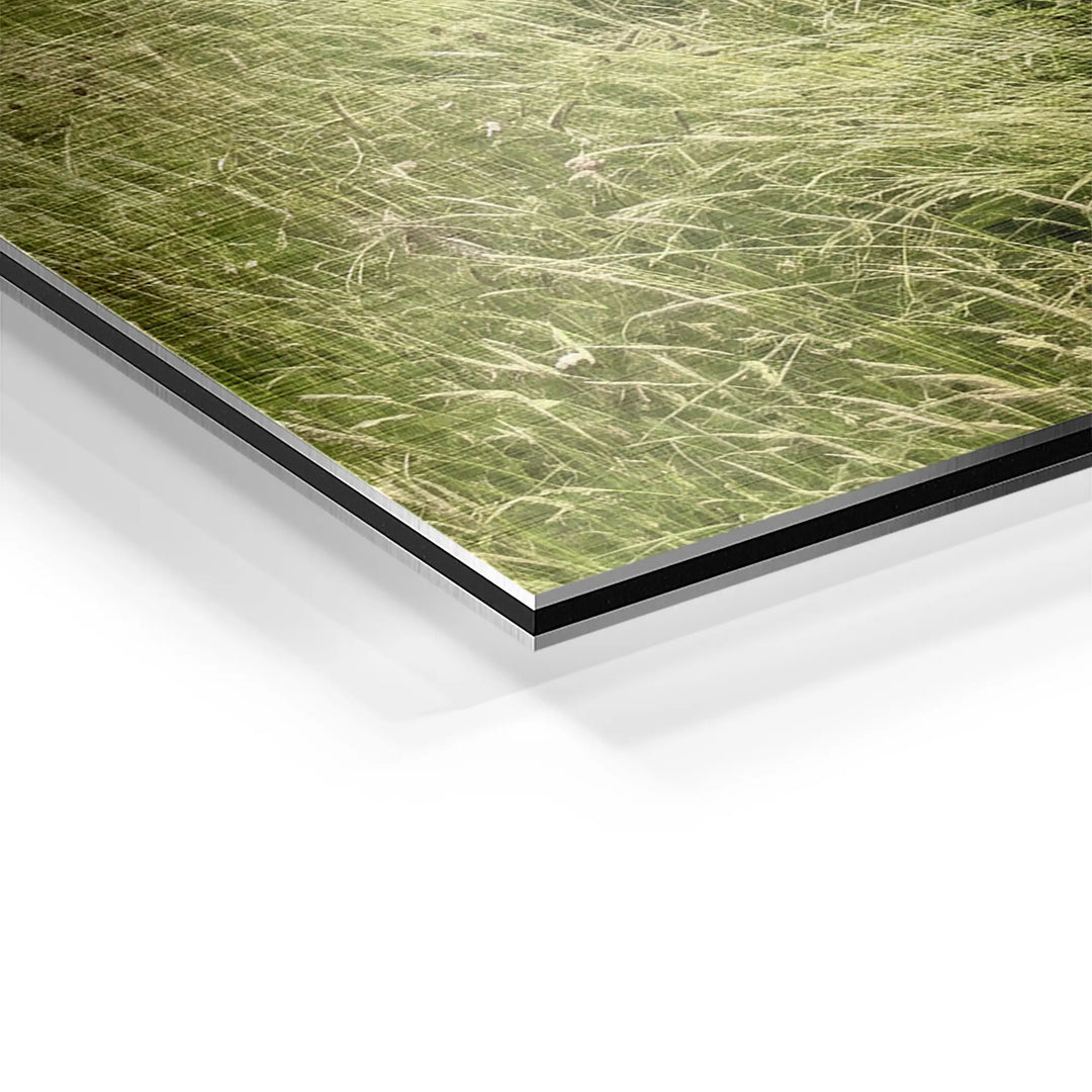 Threshold Field