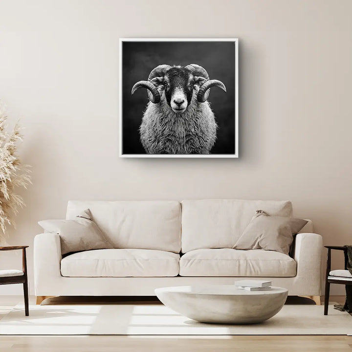 Highland Ram
