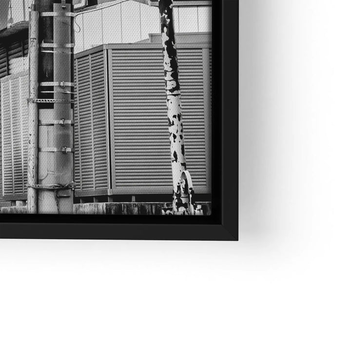 Fuji Street View