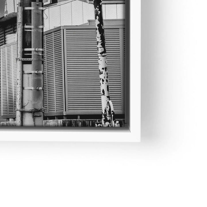 Fuji Street View