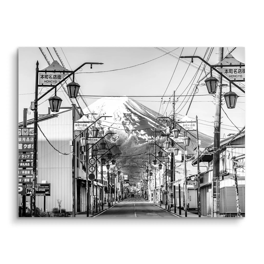 Fuji Street View