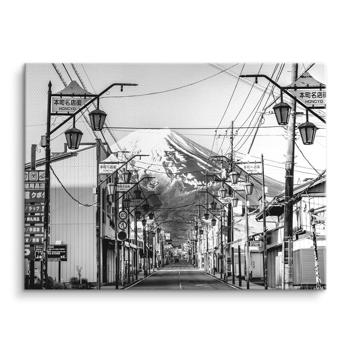 Fuji Street View