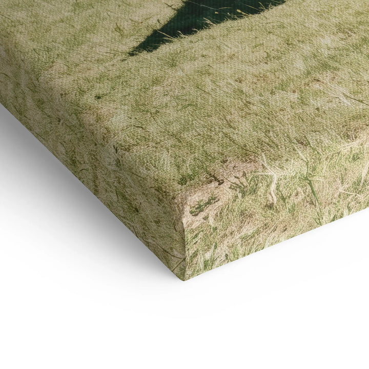 Floating Concrete