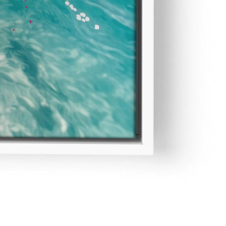 Surfing Splash