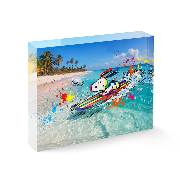Wave Rider
