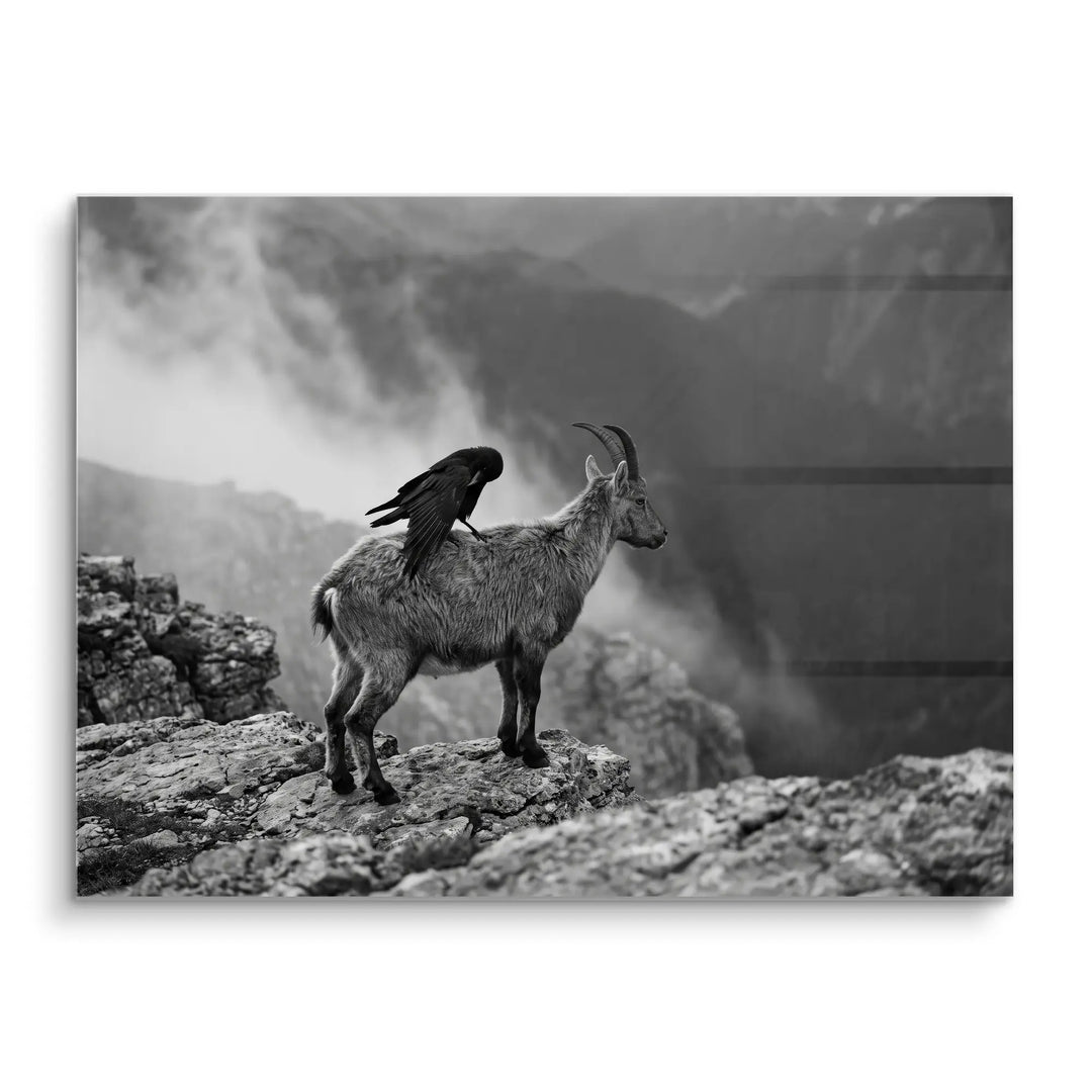 Mountain Alliance