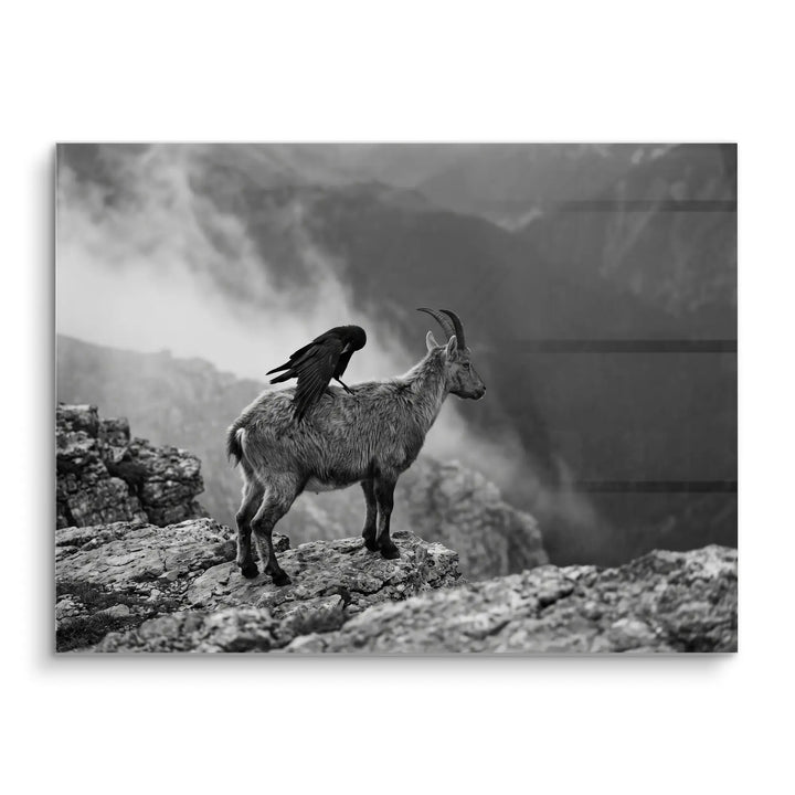 Mountain Alliance