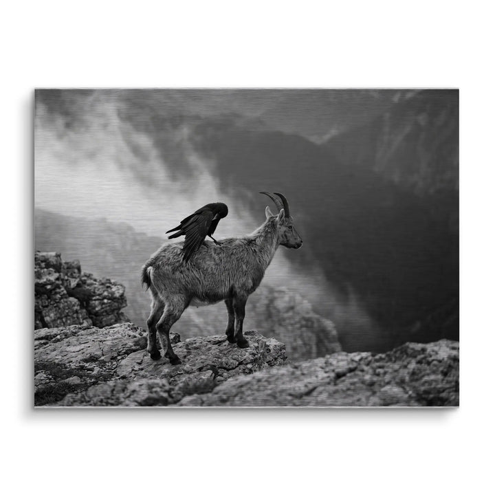 Mountain Alliance