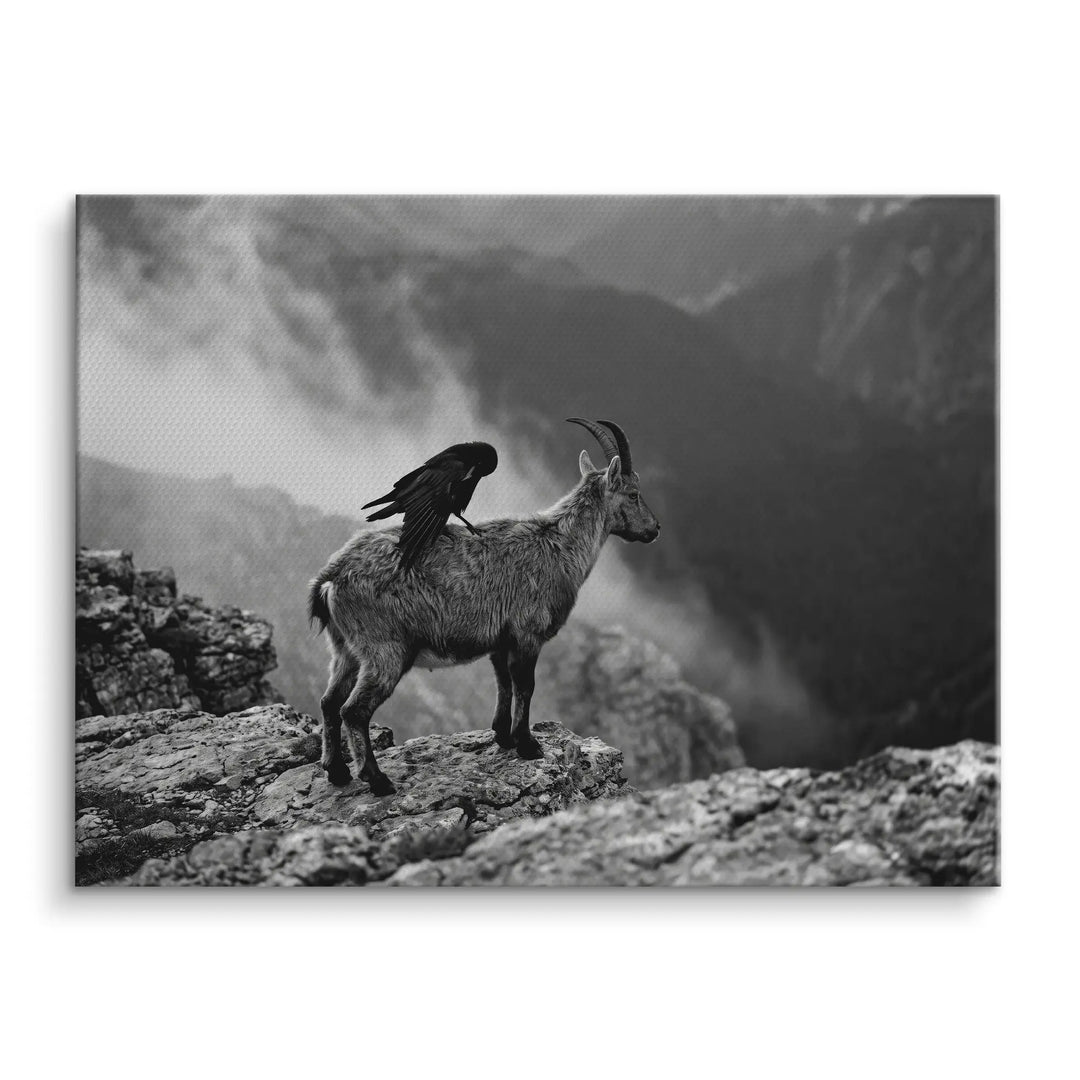 Mountain Alliance