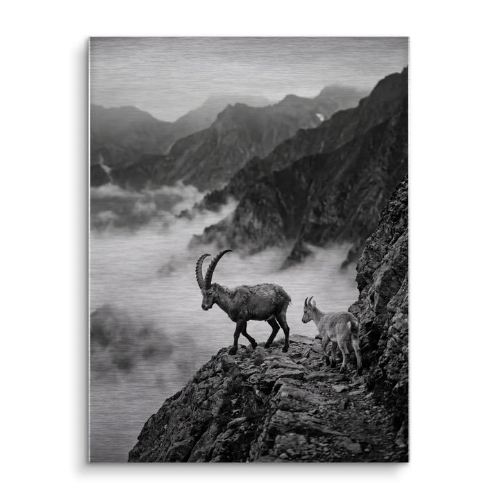Alpine Guardians
