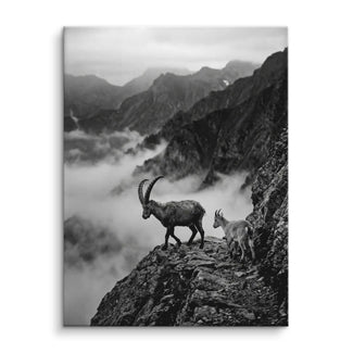 Alpine Guardians