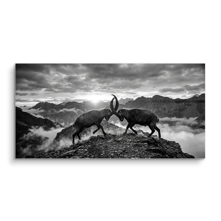Mountain Duel