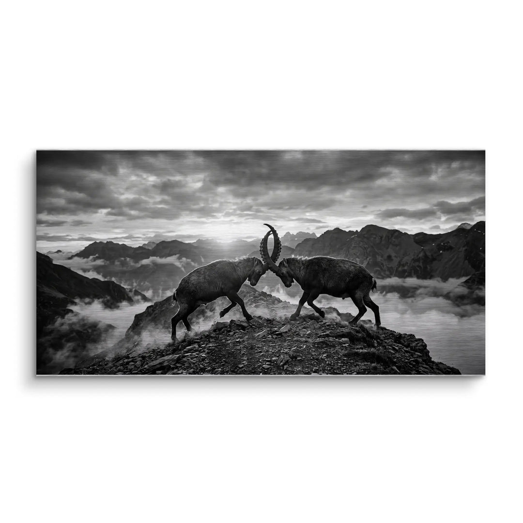 Mountain Duel