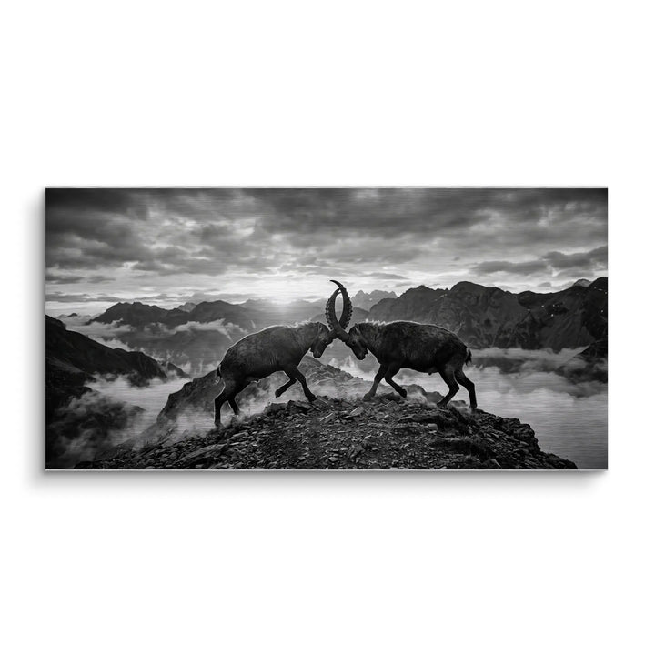Mountain Duel