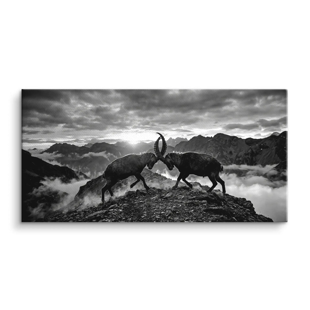 Mountain Duel