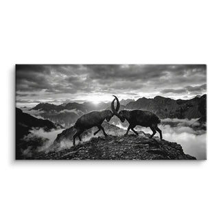 Mountain Duel