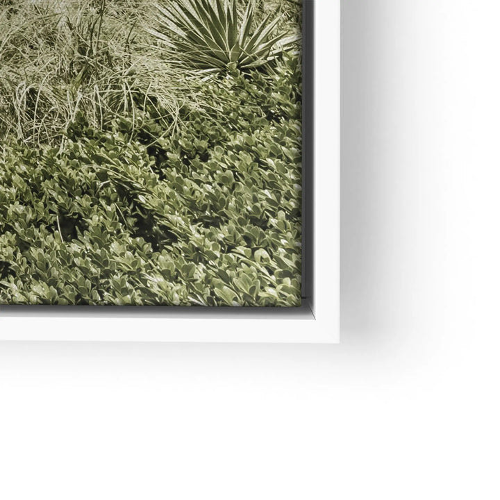 Palm Path Whisper