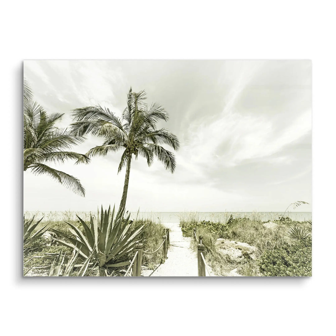 Palm Path Whisper