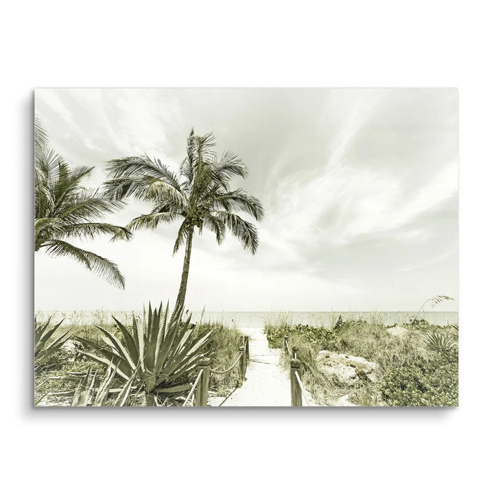 Palm Path Whisper