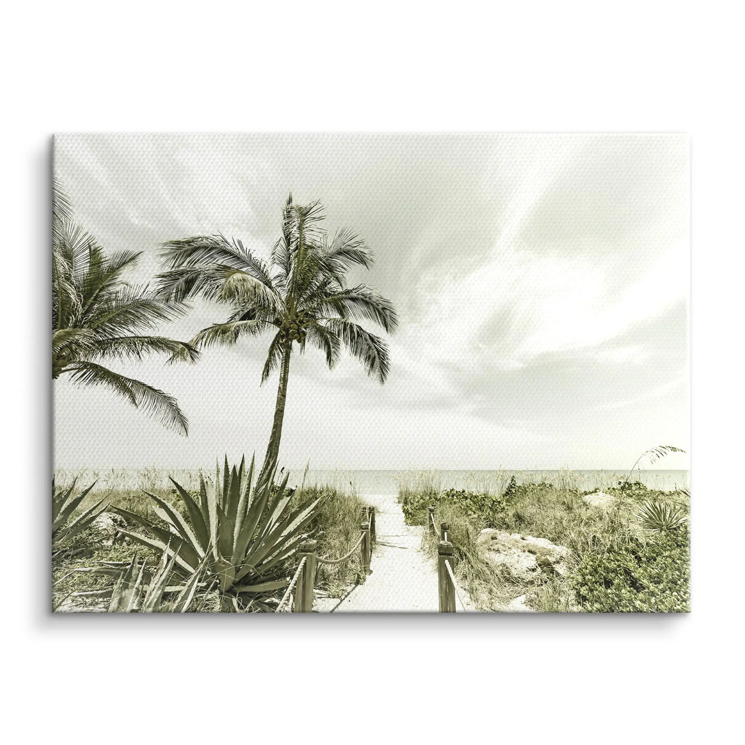 Palm Path Whisper